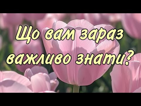 Видео: ‼️ЩО ВАМ ЗАРАЗ ВАЖЛИВО ЗНАТИ ⁉️ ПОСЛАННЯ ВІД ВИЩИХ СИЛ ТА ДУХІВ РОДУ 💯🔥❤️