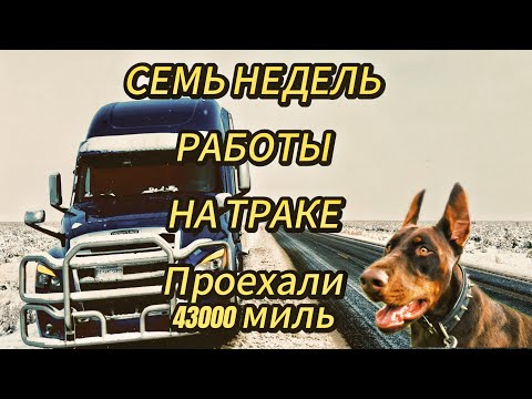 Видео: СЕМЬ НЕДЕЛЬ РАБОТЫ НА ТРАКЕ КАК OWNER. ПРОЕХАЛИ 69000 КМ. ДАЛЬНОБОЙЩИКИ В США. СЕМЕЙНЫЙ TEAM.