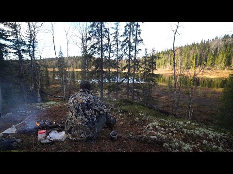 Видео: ТАЁЖНОЕ ОЗЕРО ПЕРЕД ЛЕДОСТАВОМ. ПАРАД СПУТНИКОВ. ЗАКРЫВАЮ СЕЗОН. РЫБАЛКА.