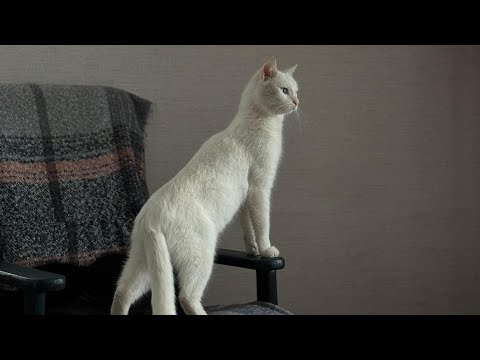 Видео: Утепляем трубы! Расхламление хоз.блока!