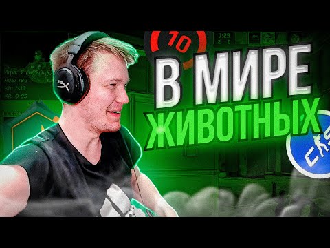 Видео: ⚡РАЧЕЛ ПОПАЛ В МИР ЖИВОТНЫХ! РАЧЕЛ ЖАЛУЕТСЯ НА УДАЧУ! I CS2 I  #rachel #рачел #insilio #cs2 #rachelr
