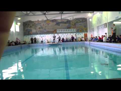 Видео: Судомодельный спорт Кострома