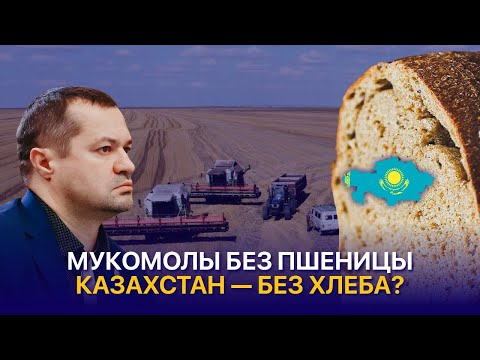 Видео: Фермеры Казахстана отказываются сеять пшеницу