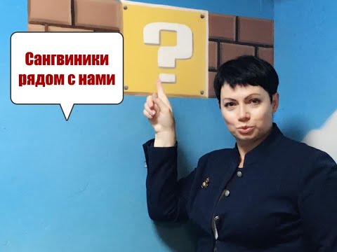 Видео: Сангвиник рядом с нами: "плюсы" и "минусы" "солнечного" темперамента