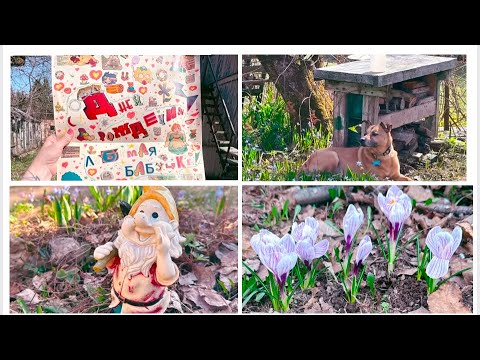 Видео: Южная Корея-Москва🏠18-19 апр 2025/Поклонились родным, убрались/Маникюр/Настя на даче с папой/Раритет