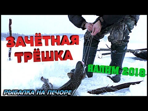 Видео: НАЛИМ 2018 \ УСТАНОВКА ПЕРЕМЁТОВ  \ РЫБАЛКА НА ПЕЧОРЕ \ BURBOT 2018 \ CHECK THE BOTTOM GEAR