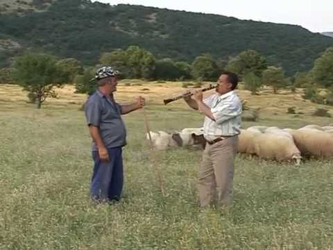 Видео: Ork Brestovica - Spomeni I Орк. Брестовица - Спомени