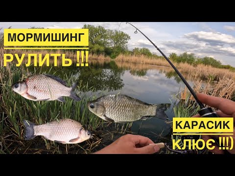 Видео: Мормишинг рулить !)/ Карасик клює !!!