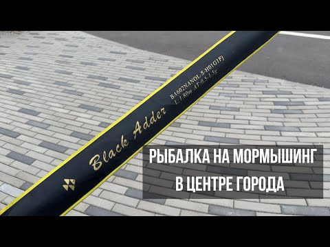 Видео: Как быстро поймать рыбу? МОРМЫШИНГ! Тест нового спининга