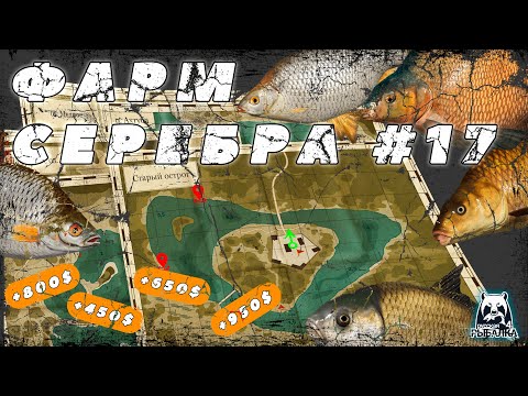 Видео: ФАРМ СЕРЕБРА №17 | ПЛОТВА | ЛЕЩ | КАРПЫ | УСАЧ | БУФФАЛО | ТАРАНЬ