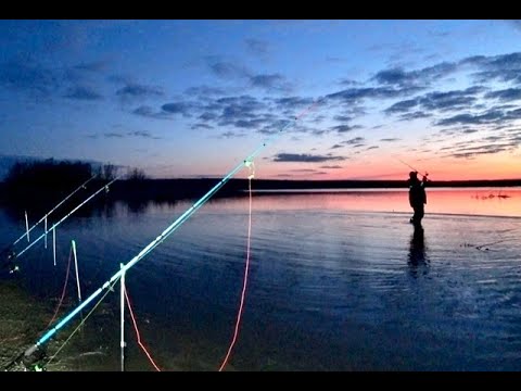 Видео: ПЕРВЫЕ САЗАНЫ НА ДОНКИ! Рыбалка с Ночевкой  на САЗАНА