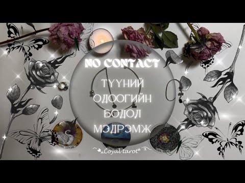 Видео: 🖤♠️ Харилцаа холбоогүй байгаа хүний тань одоогийн бодол мэдрэмж ♠️🖤 /Нэмэлттэй/
