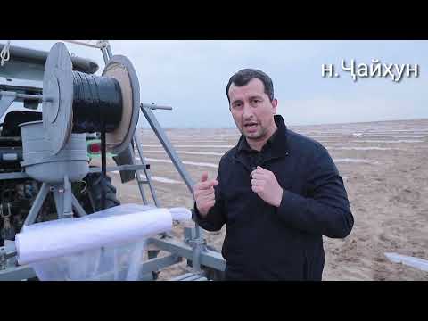 Видео: Бо усулҳои нав обёрӣ қатраги ( капелни орошени ) шинондани ниҳоли тарбуз дар саҳро.