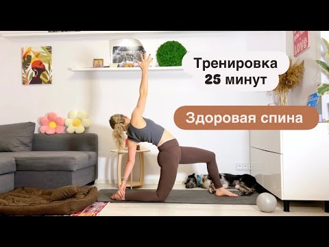 Видео: Здоровая спина. Тренировка для всех