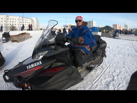 Видео: Оленеводы Севера и белый ягель | Ялэмдад нумгы 15.04.2022