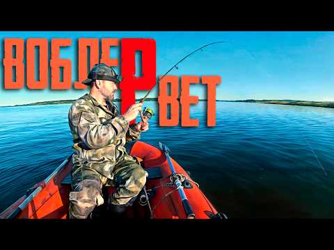 Видео: 🔴 РЫБА ОШАЛЕЛА и КЛЮЕТ на каждом забросе!!! Ловля на спиннинг под камышом!!! 🔥🔥🔥