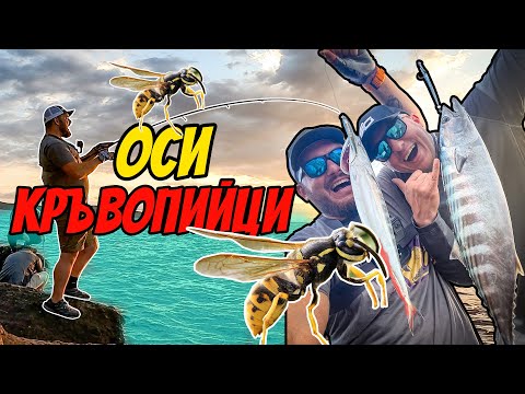 Видео: НАПАДАТ НИ ОСИ СЛЕД ВСЯКА ХВАНАТА РИБА. РИБОЛОВ НА ПАЛАМУД И ТУНАКИ
