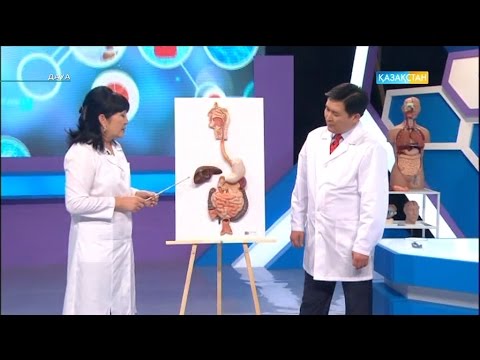 Видео: «ДАУА». А гепатиті – бауырды зақымдайтын ауру түрі (06.03.2017)