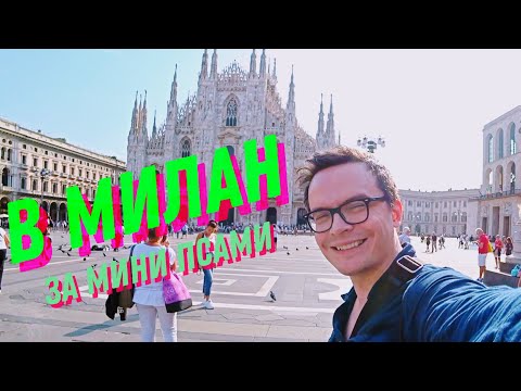 Видео: ДЕНЬ 6. ИЗ БУДАПЕШТА В МИЛАН ЗА МИНИ ПСАМИ