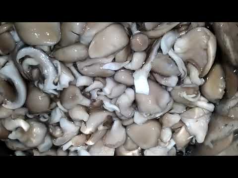 Видео: Маринованные вешенки: просто, быстро и вкусно!