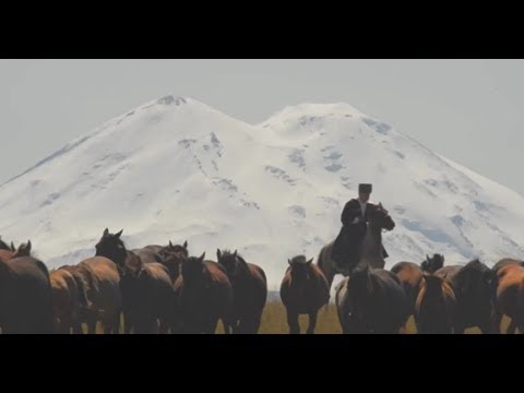 Видео: «Шагди.Опережающий полёт стрелы». Фильм Аскарбия Нагаплева. Кабардинская порода лошадей