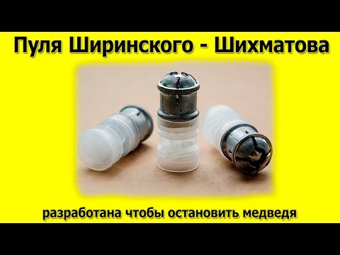 Видео: Пуля Ширинского Шихматова, способна остановить медведя