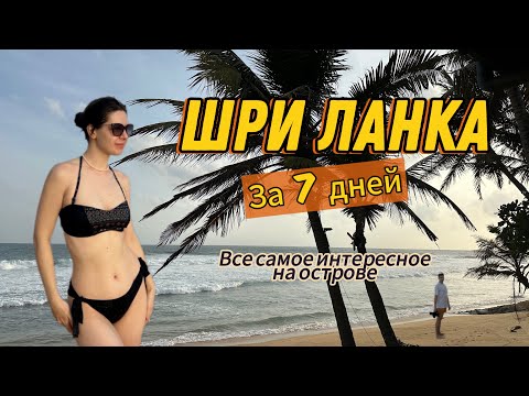 Видео: Шри-Ланка за неделю/ побережье и центр острова