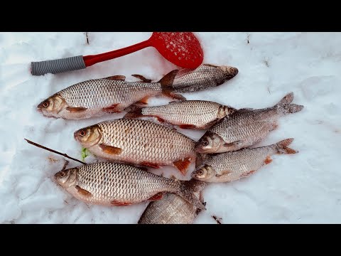 Видео: КРУПНАЯ ПЛОТВА НА БЕЗМОТЫЛКУ.🔥