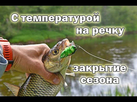 Видео: С температурой на речку