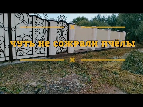 Видео: Stihl fs 450 & ZimAni 143 r2 Бегство от пчёл)