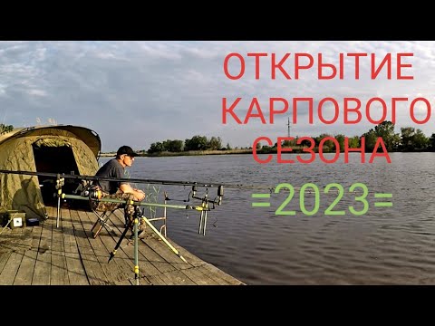 Видео: Открытие карпового сезона в конце мая  2023 .Такого не ожидал #рыбалка 2023# карп# рекомендации