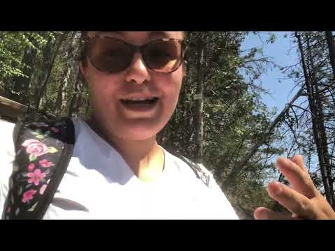 Видео: Пораженията от пожара до Люлката на любовта( Гарга байр- Велико Търново) 