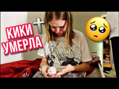Видео: ВЛОГ /😭 КИКИ УМЕРЛА 🐹 27.10.21