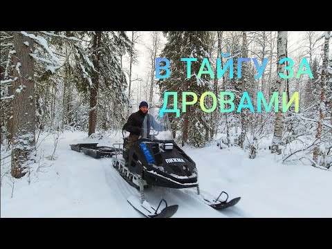 Видео: НА САМОДЕЛЬНОМ СНЕГОХОДЕ СМ-002 ЗА ДРОВАМИ В ТАЙГУ / ДВОЕ САНЕЙ ТАЩИТ БЕЗ ТРУДА. ЖИЗНЬ В ДЕРЕВНЕ.