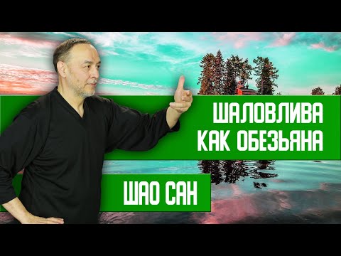 Видео: Легкость, игривость, стремительность, ловкость и хитрость | Шао Сан