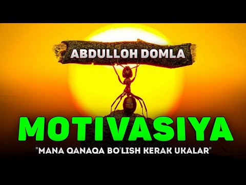 Видео: Мотивация! Мана қанақа бўлиш керак укалар! °Абдуллох Домла 2022°Abdulloh Domla 2022° #abdullohdomla