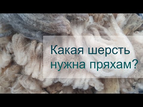 Видео: Шерсть никому не нужна?
