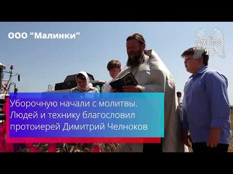 Видео: Начало уборочной кампании в ООО "Малинки" 2024
