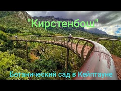 Видео:  ⛰️Ботанический сад "Кирстенбош" в ЮАР Кейптаун.🌴