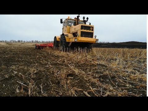 Видео: Кировец с дискатором БДМ 6Х4 от БДТ-АГРО в работе.