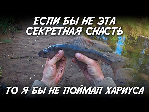 Видео: Если бы не эта секретная снасть, то я бы не поймал хариуса