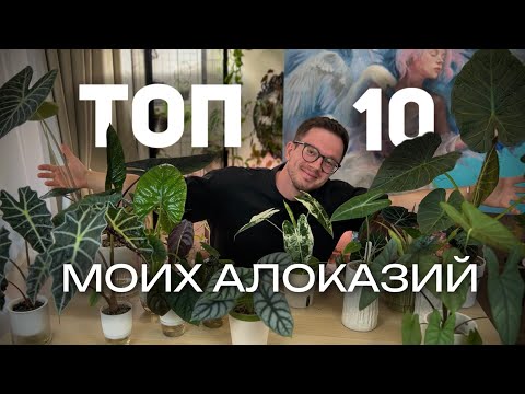 Видео: ТОП-10 МОИХ АЛОКАЗИЙ