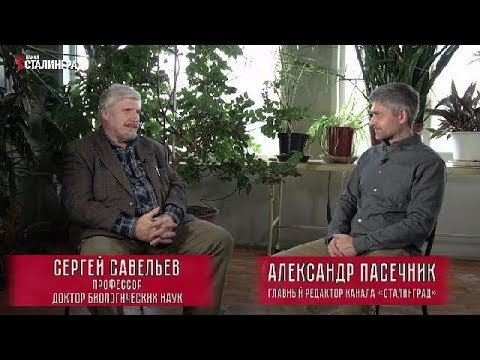 Видео: С.В. Савельев. Формирование элит