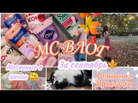 Видео: ~МС ВЛОГ~//✨Лучшие месячные!?✨🥴💖