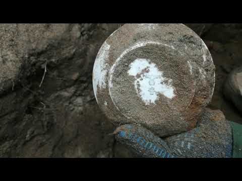 Видео: раскоп не тронутого немецкого блина