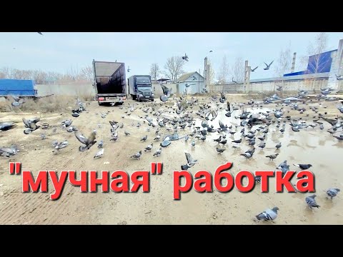 Видео: Зафаршмачил весь кузов 🤦. #газоннекст #automobile #trucking