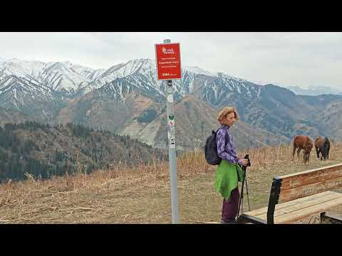 Видео: Тропа здоровья - Серкебай - перевал Лесной - Шыбынсай - Бутаковское ущелье