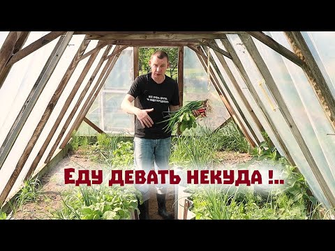 Видео: Деревенское изобилие существует - уже в мае еду девать некуда!