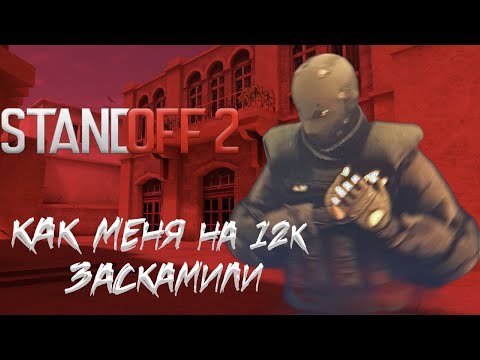 Видео: КАК МЕНЯ ЗАСКАМИЛИ НА 12К ГОЛДЫ В STANDOFF 2
