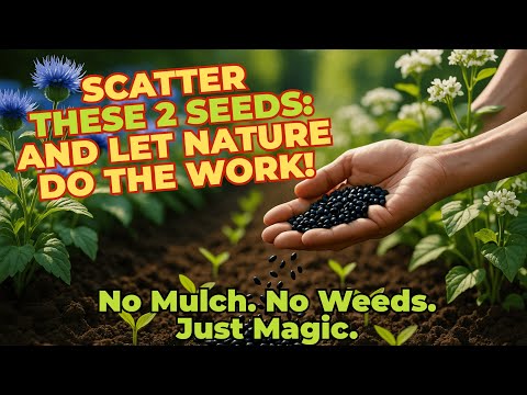 Видео: Забудьте о мульчировании НАВСЕГДА! Разбросайте ЭТИ 2 семени и наблюдайте, как ваш сад преобразится!